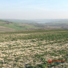 592242de_0437_4714_970b_3aa8e13af5c1 (2).jpg